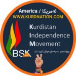 17971853312051014_kurdnational